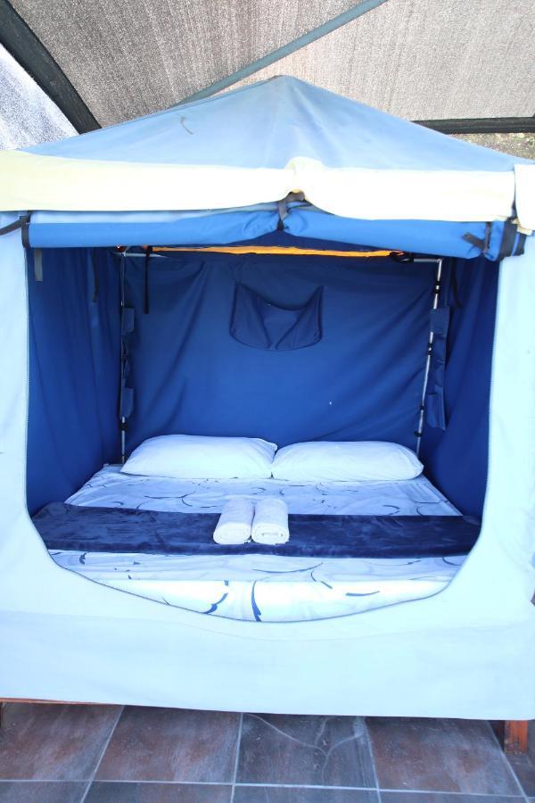 Tsitsikamma On Sea Poolside Cabanas - They Are Not Tents Witelsbos المظهر الخارجي الصورة